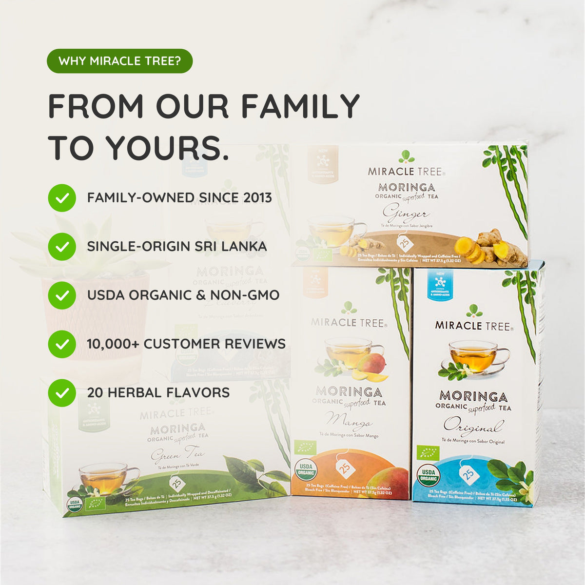 Organic Moringa Tea - Rooibos - Caffeine-Free Herbal Tea - Trending Wellness Store