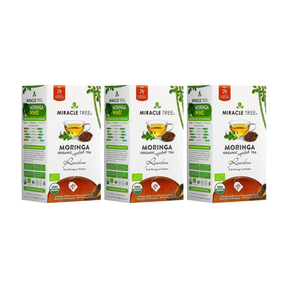 Organic Moringa Tea - Rooibos - Caffeine-Free Herbal Tea - Trending Wellness Store