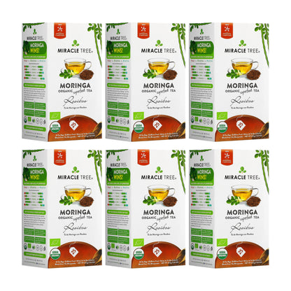 Organic Moringa Tea - Rooibos - Caffeine-Free Herbal Tea - Trending Wellness Store