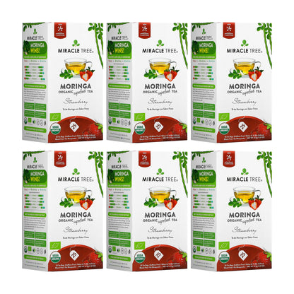 Organic Moringa Tea - Strawberry - Caffeine-Free Herbal Tea - Trending Wellness Store