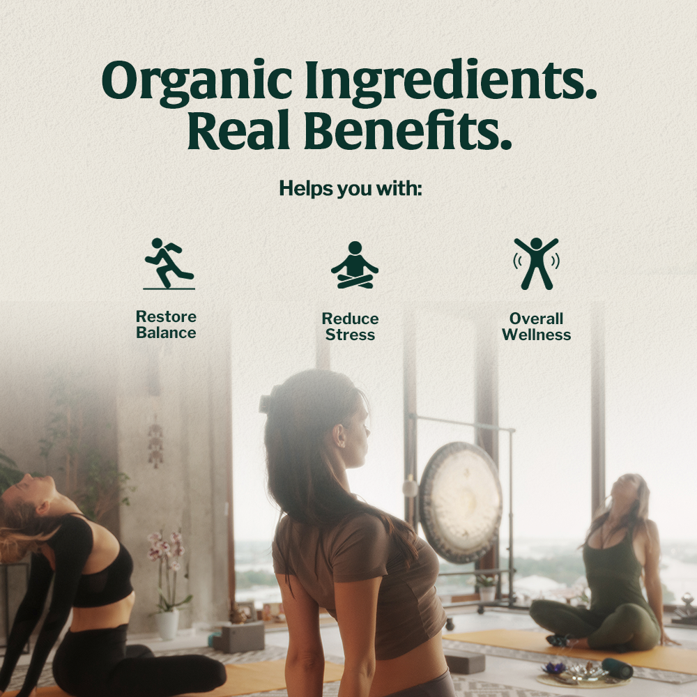 Organic Mushroom 14 - Espresso - Trending Wellness Store