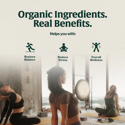 Organic Mushroom 14 - Espresso - Trending Wellness Store