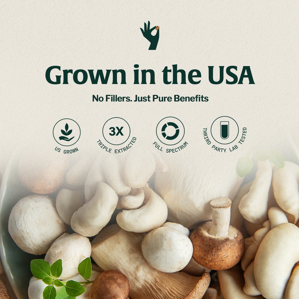 Organic Mushroom 14 - Espresso - Trending Wellness Store