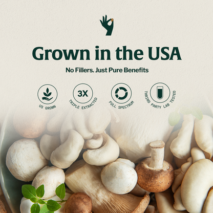 Organic Mushroom 14 - Espresso - Trending Wellness Store