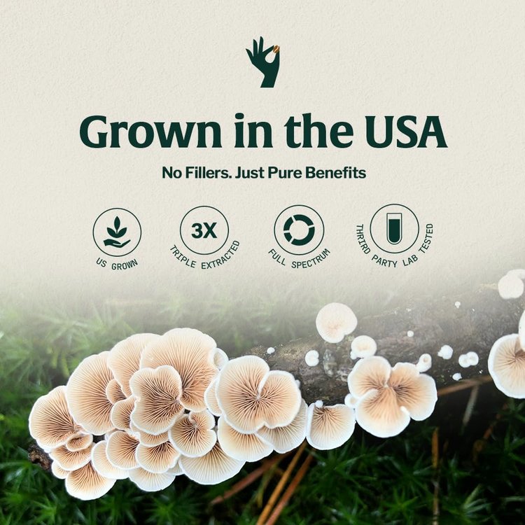 Trending Wellness Store