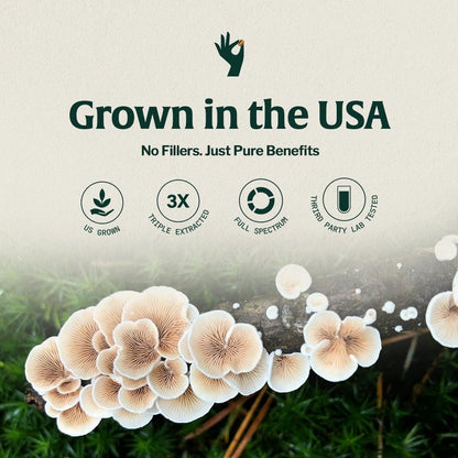 Organic Mushroom Coffee Singles Vitality with Lion’s Mane & Chaga - Trending Wellness Store