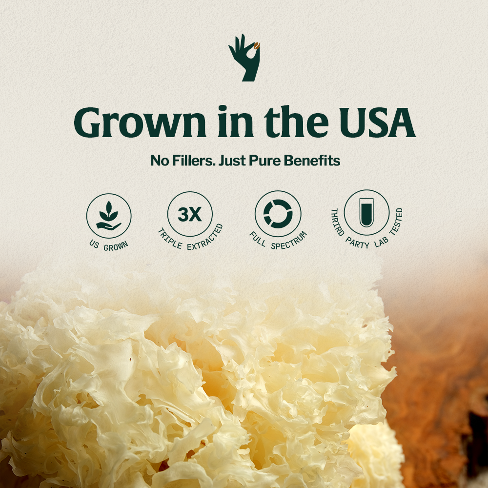 Organic Mushroom Tremella Half Caffeinated - Espresso - Trending Wellness Store