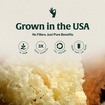 Organic Mushroom Tremella Half Caffeinated - Espresso - Trending Wellness Store