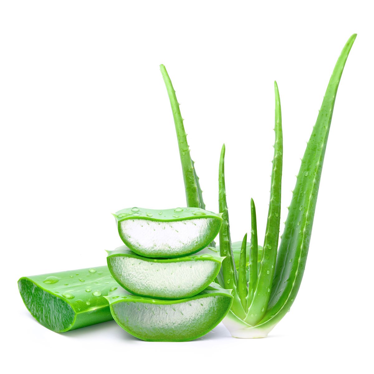 Trending Wellness Store