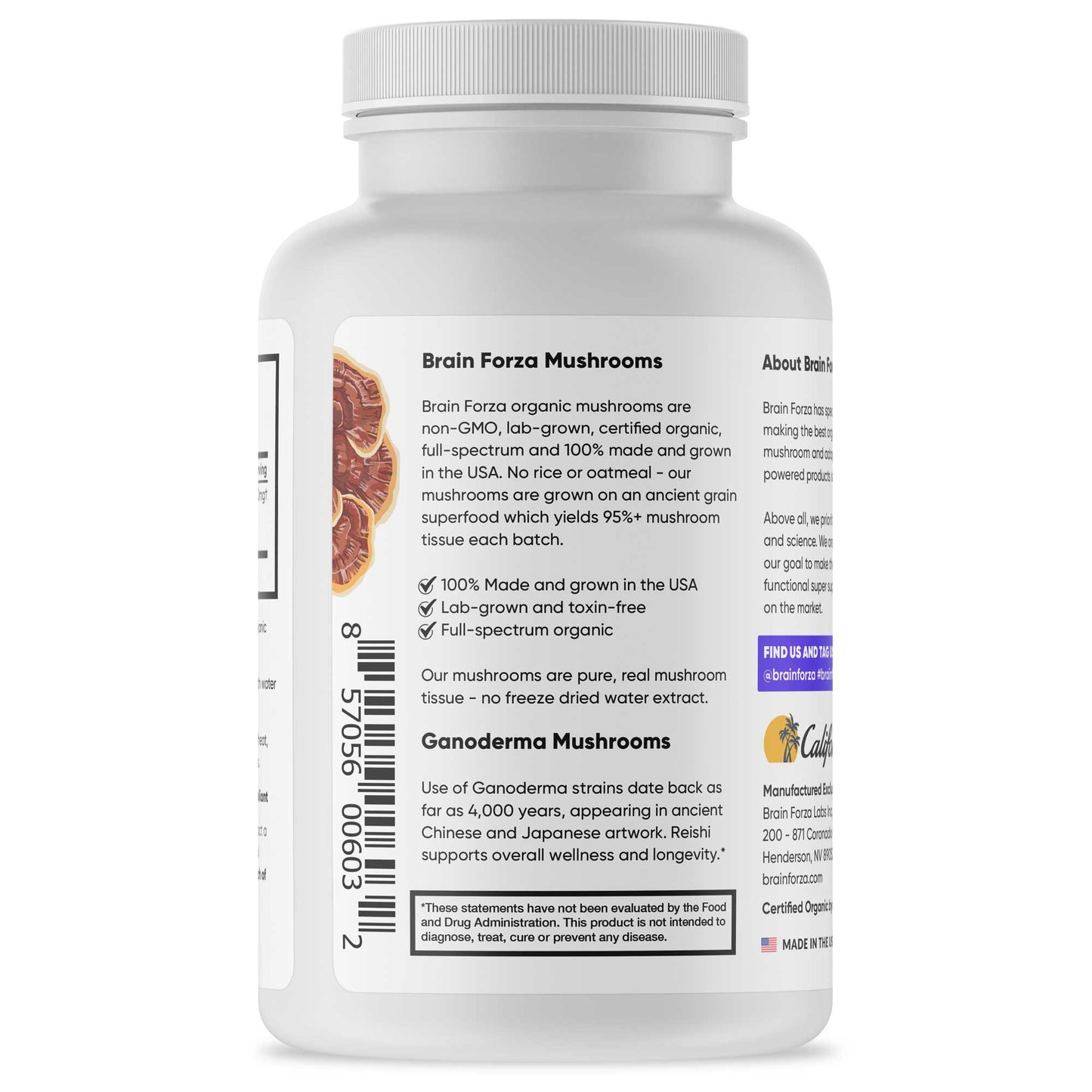 Organic Red Reishi Mushroom, 90 Capsules - Trending Wellness Store