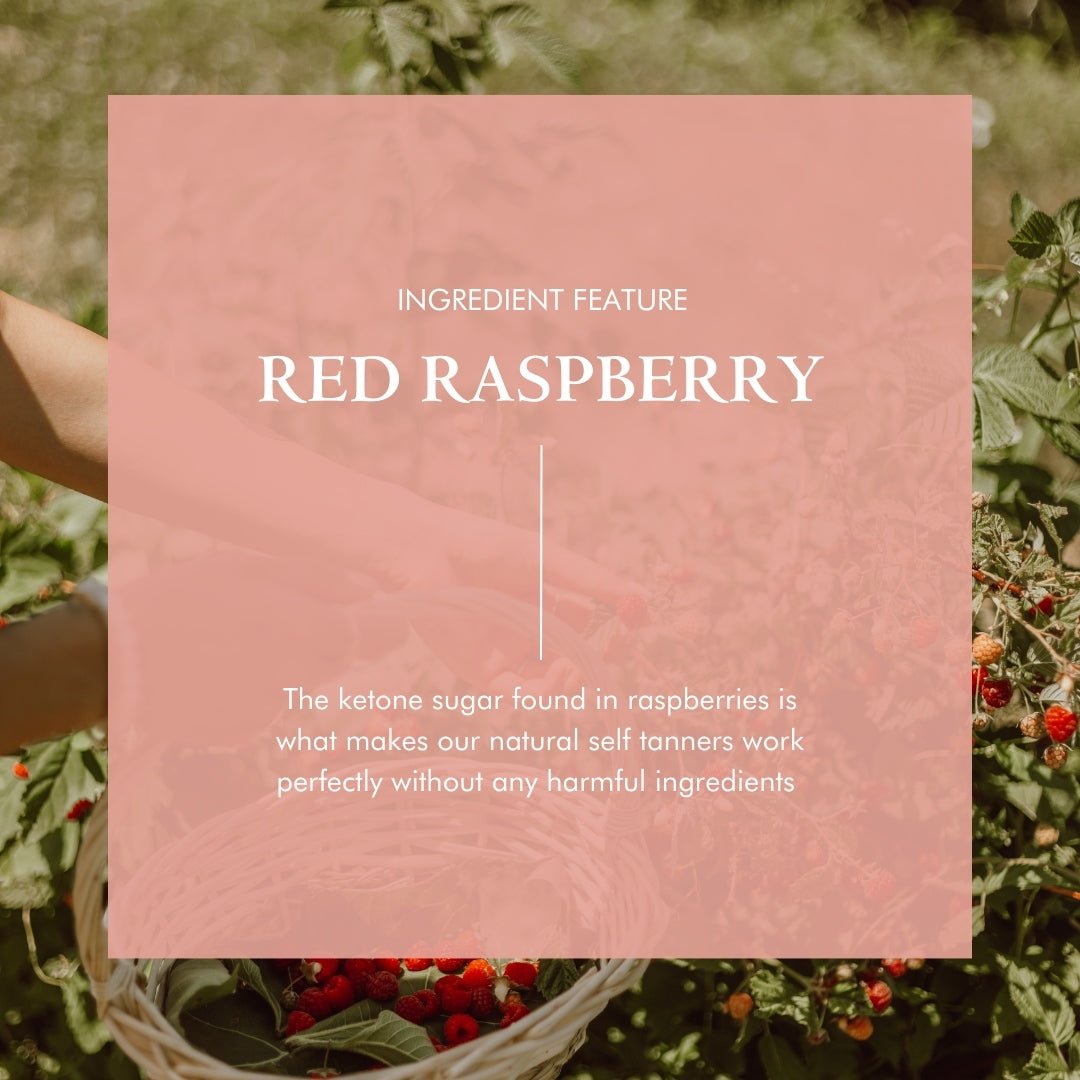 Organic Skin Firming Serum with DMAE + Alpha Lipoic - Trending Wellness Store