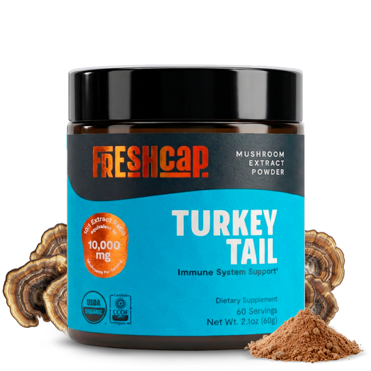 Turkey Tail Mushroom Extract Powder - Trending Wellness Store