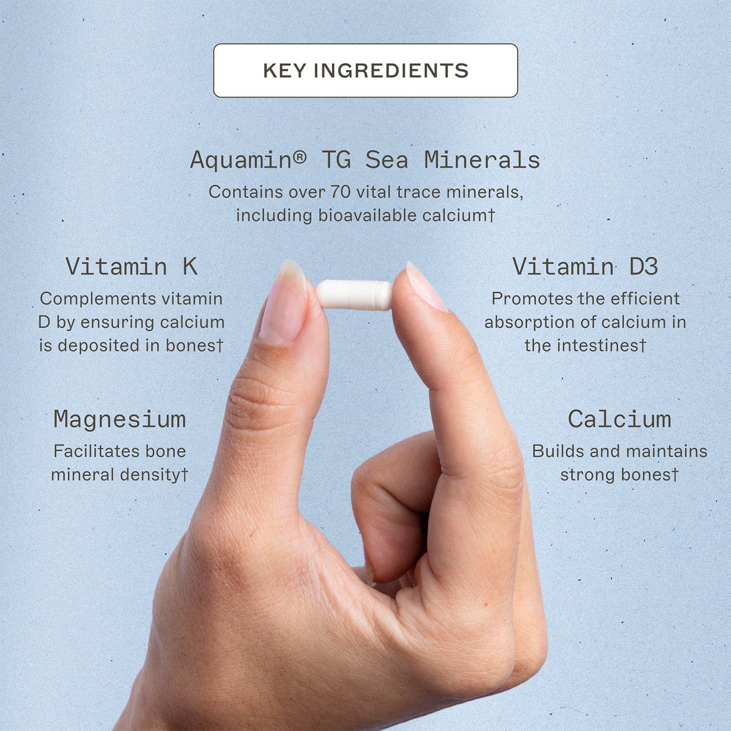 OsteoDura™ - Trending Wellness Store