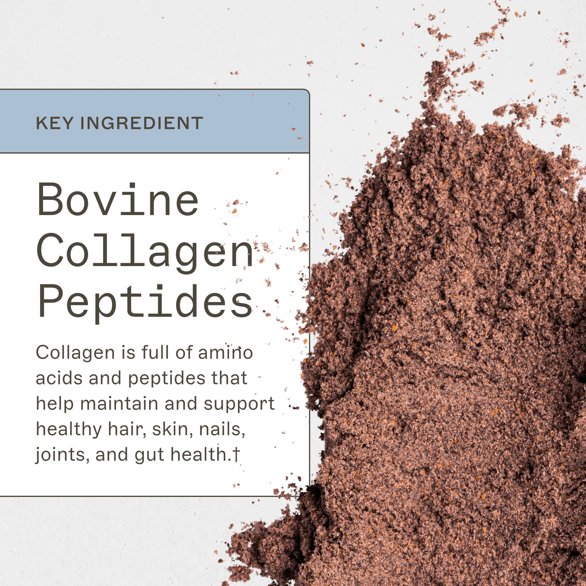 Trending Wellness Store