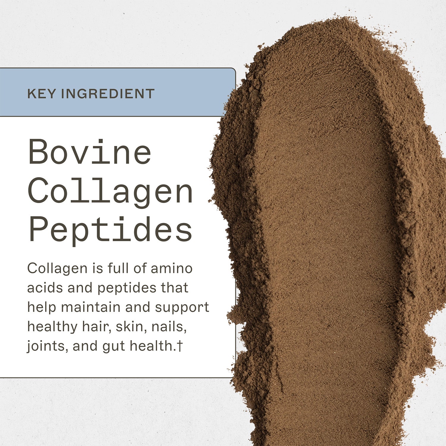 Trending Wellness Store