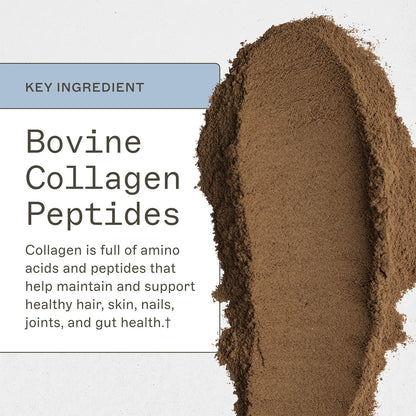 Paleo Protein Powder - Double Chocolate - Trending Wellness Store