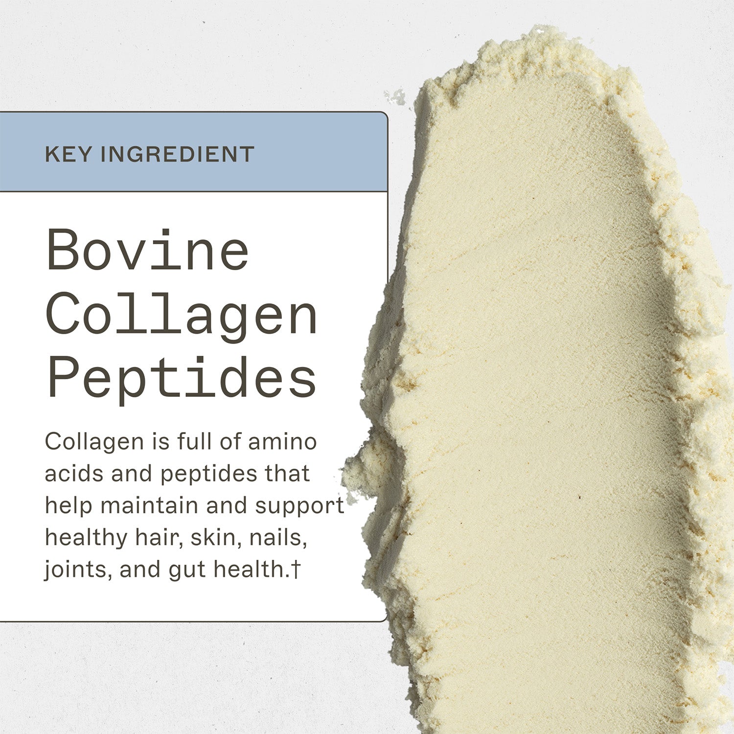 Trending Wellness Store