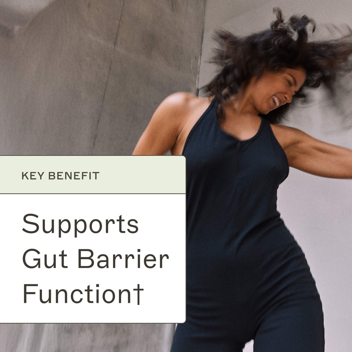 Paleo Protein - Pumpkin Spice - Trending Wellness Store