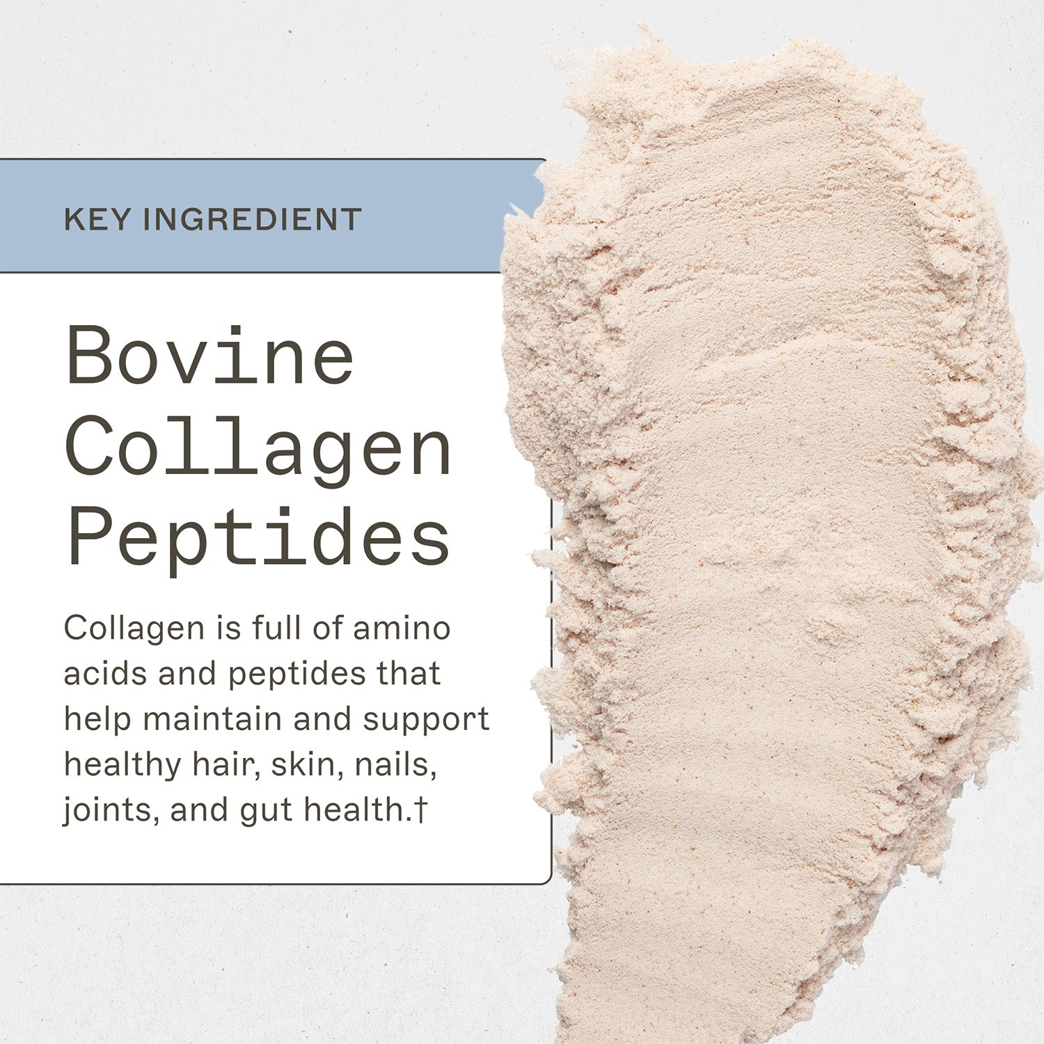 Trending Wellness Store