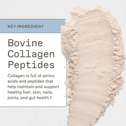 Paleo Protein - Strawberries & Cream - Trending Wellness Store