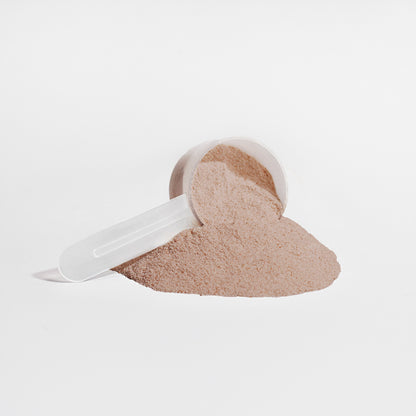 Plant Protein (Chocolate) - Trending Wellness Store