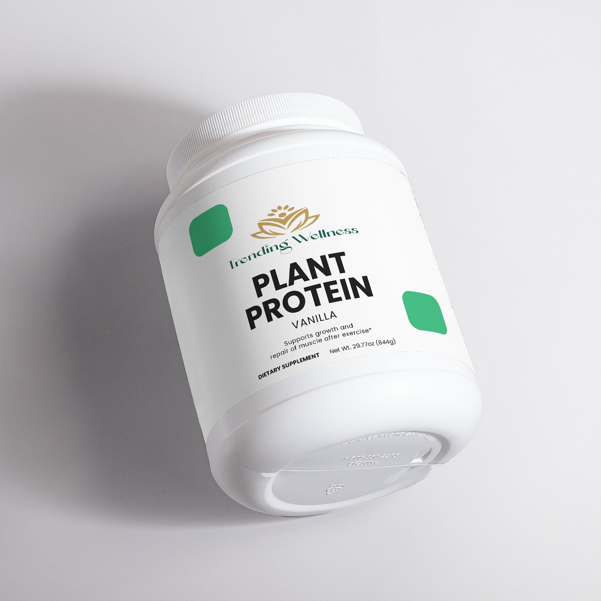 Plant Protein (Vanilla) - Trending Wellness Store