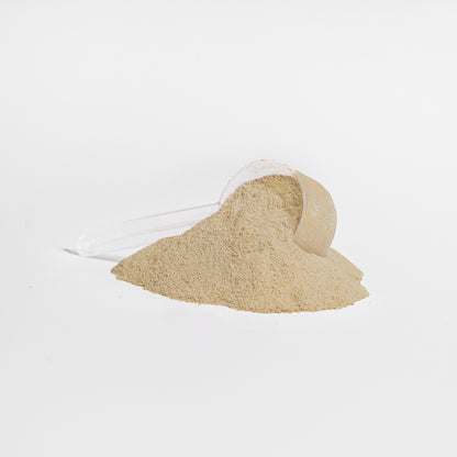 Plant Protein (Vanilla) - Trending Wellness Store