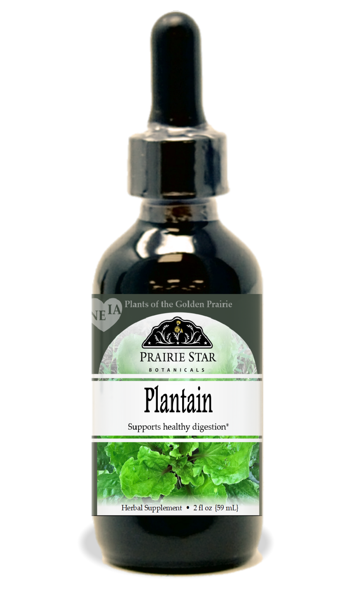 Trending Wellness Store