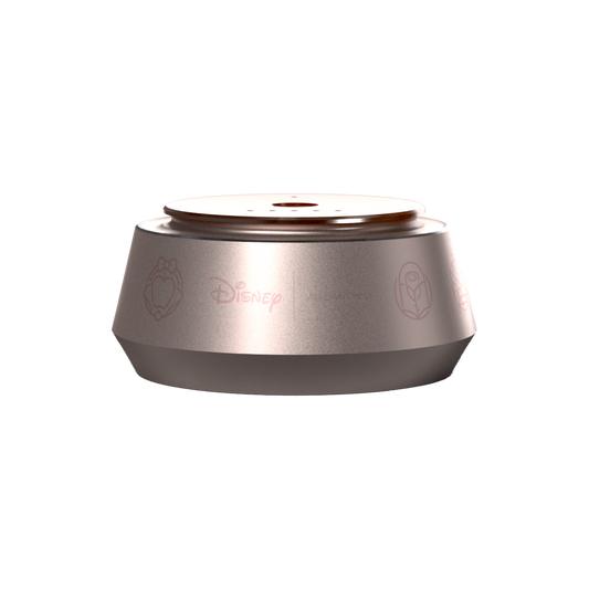 Princess Smart Car Diffuser™ - Trending Wellness Store