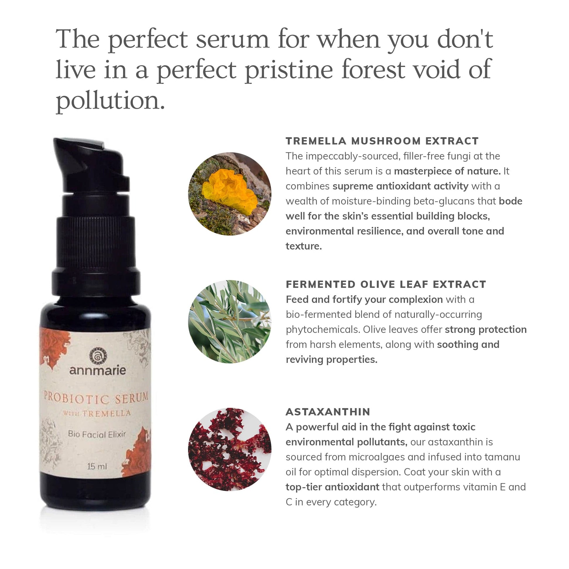 Trending Wellness Store