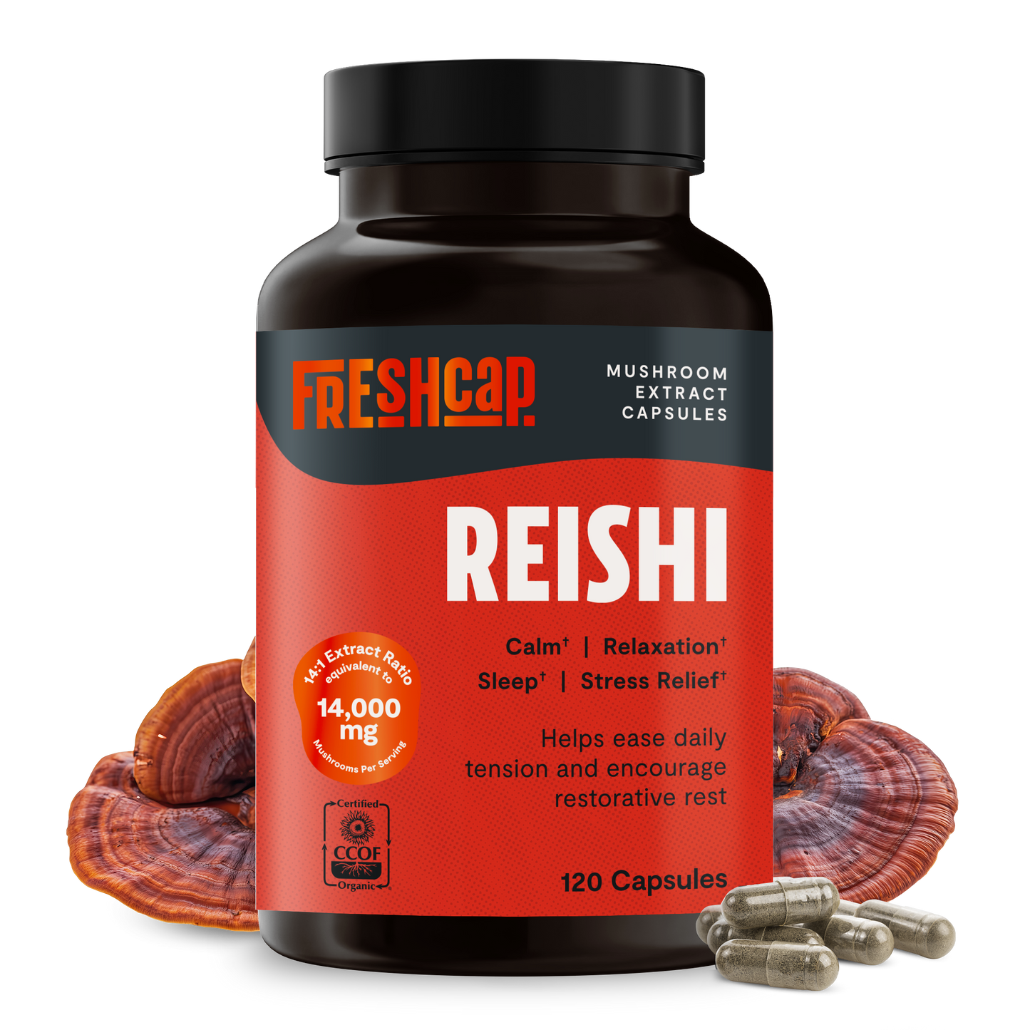 Reishi Mushroom Extract Capsules - Trending Wellness Store