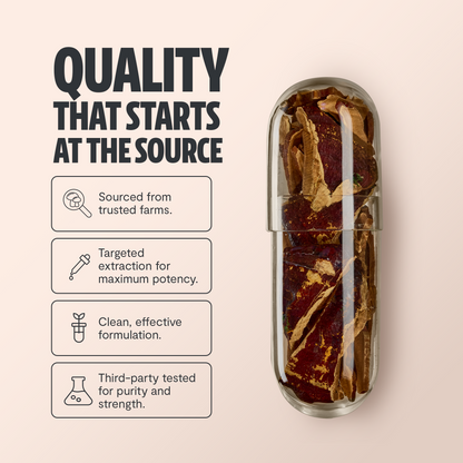 Reishi Mushroom Extract Capsules - Trending Wellness Store