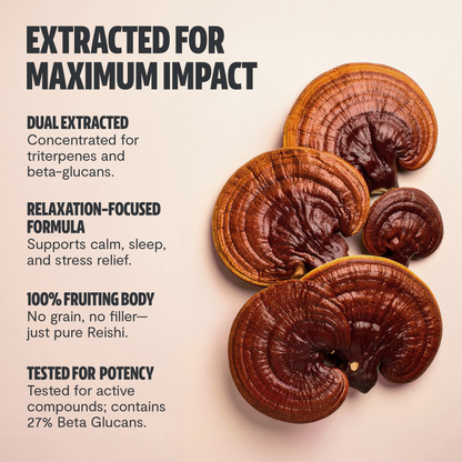 Reishi Mushroom Extract Powder - Trending Wellness Store