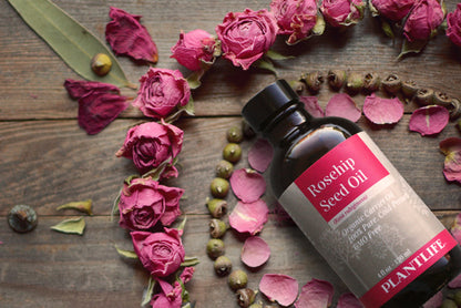 Rosehip Seed Oil - Trending Wellness Store