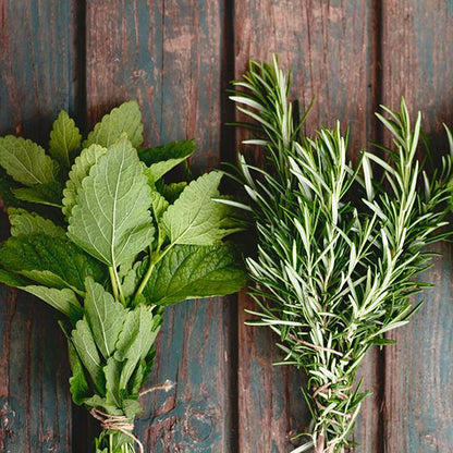 Rosemary Mint - Trending Wellness Store