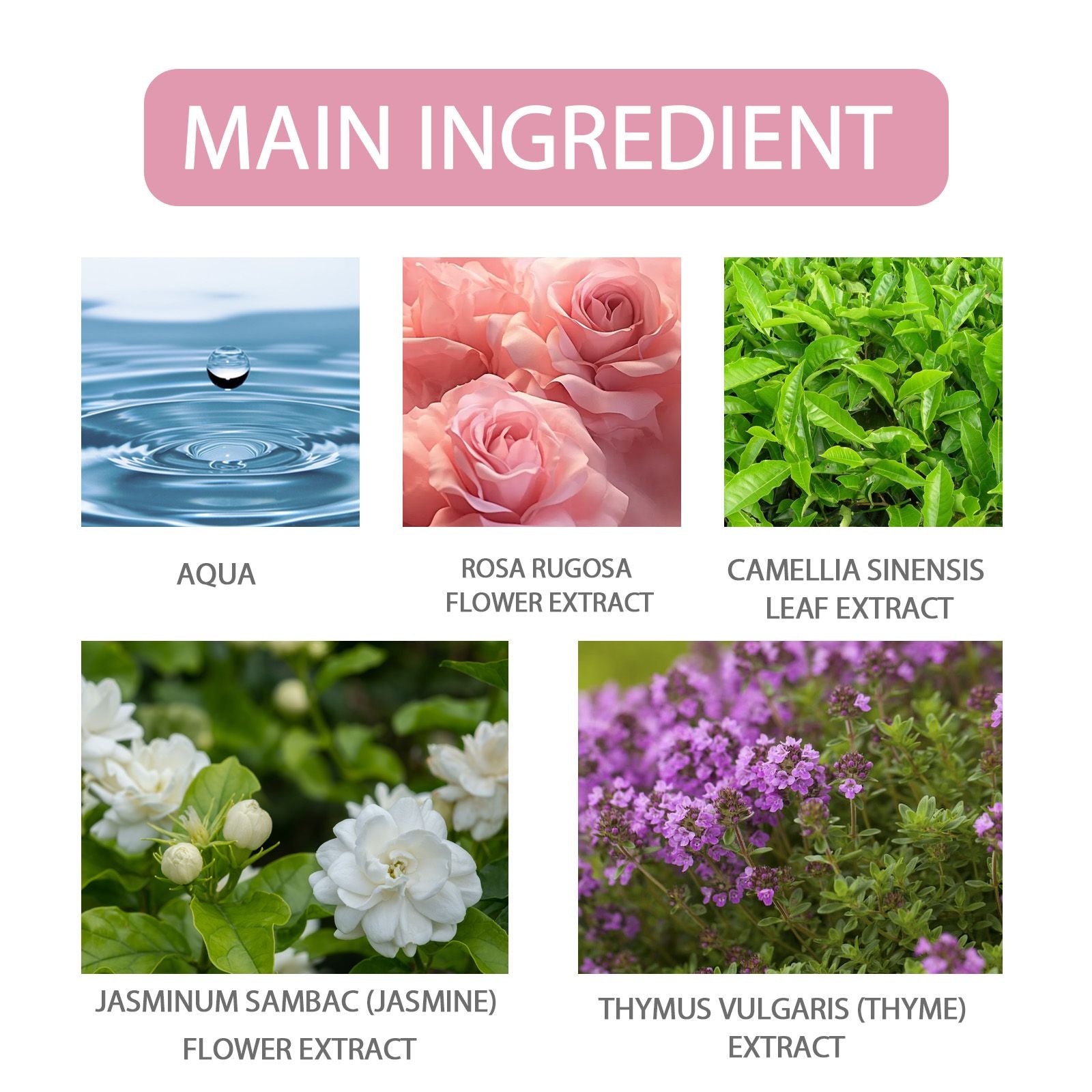Trending Wellness Store
