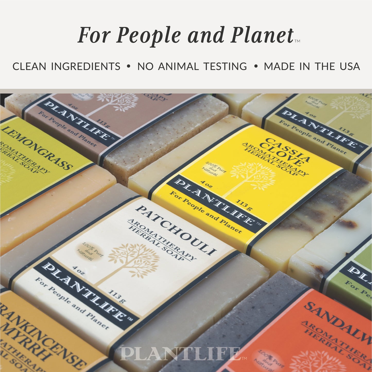 Sandalwood Bar Soap - Trending Wellness Store