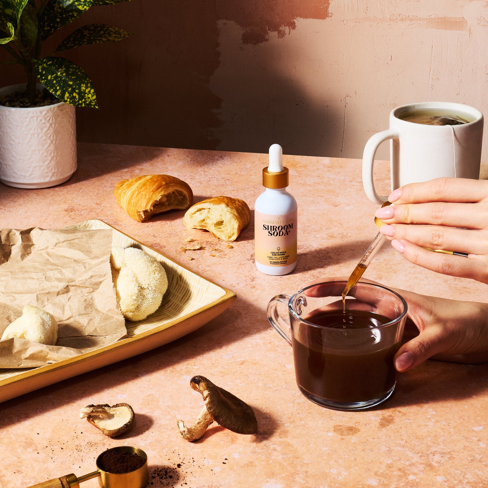 Shroom Soda® - Trending Wellness Store