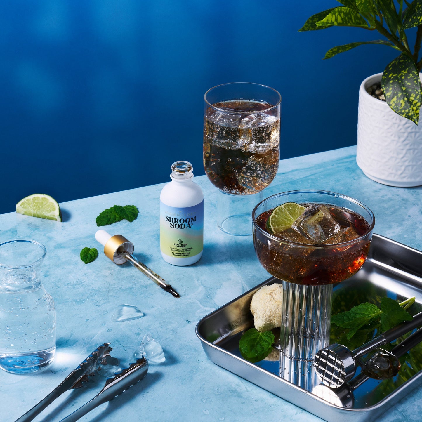 Shroom Soda® - Trending Wellness Store