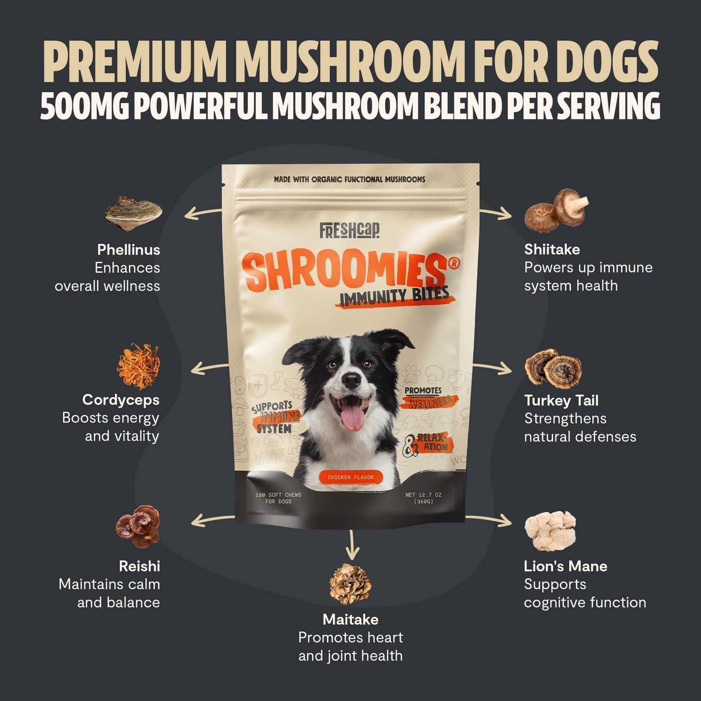 Shroomies® - Mushrooms For Dogs - Trending Wellness Store
