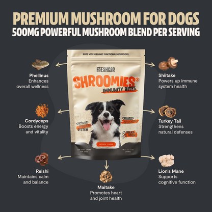 Shroomies® - Mushrooms For Dogs - Trending Wellness Store