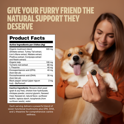 Shroomies® - Mushrooms For Dogs - Trending Wellness Store