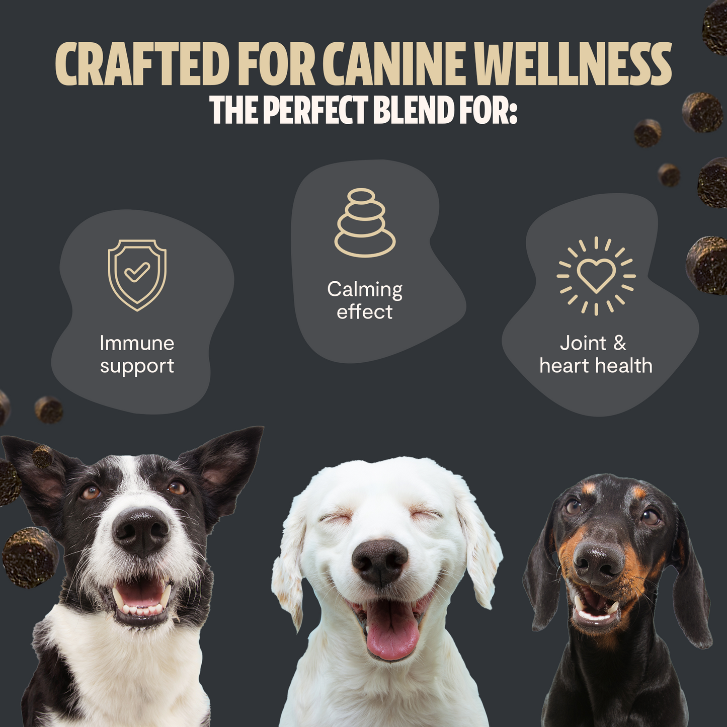 Shroomies® - Mushrooms For Dogs - Trending Wellness Store