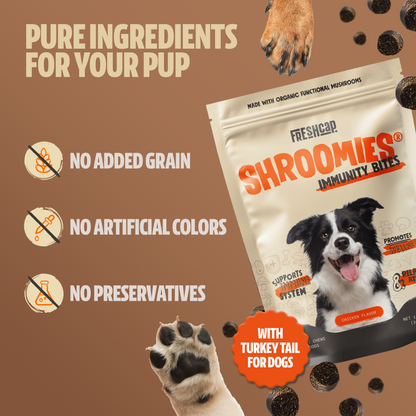 Shroomies® - Mushrooms For Dogs - Trending Wellness Store