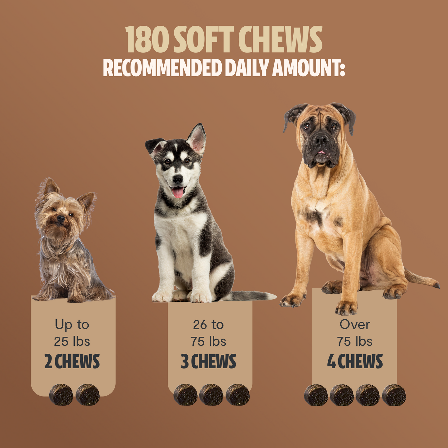 Shroomies® - Mushrooms For Dogs - Trending Wellness Store