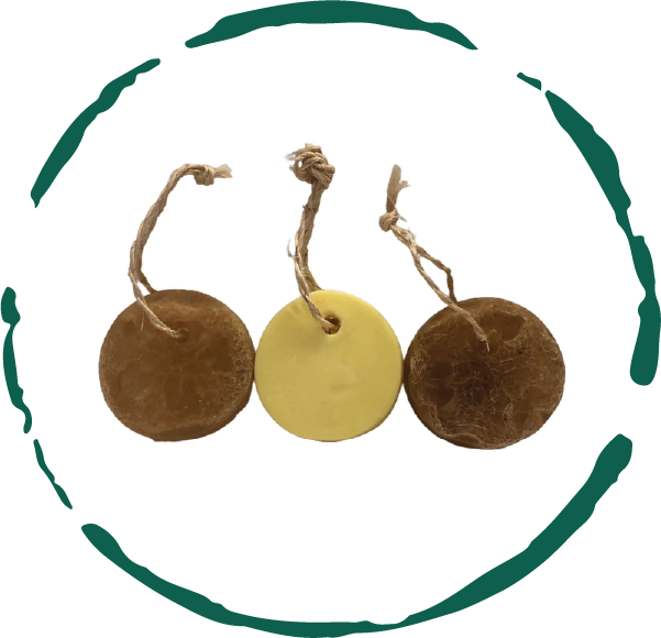 Trending Wellness Store