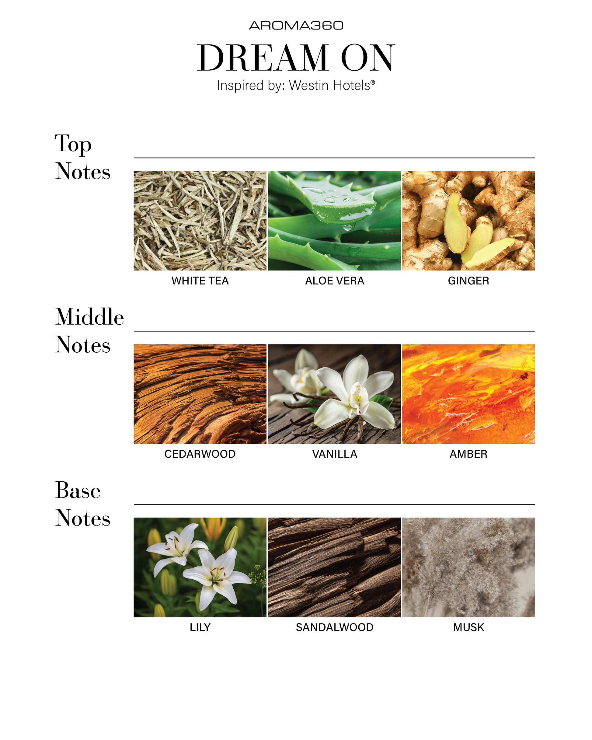 Trending Wellness Store