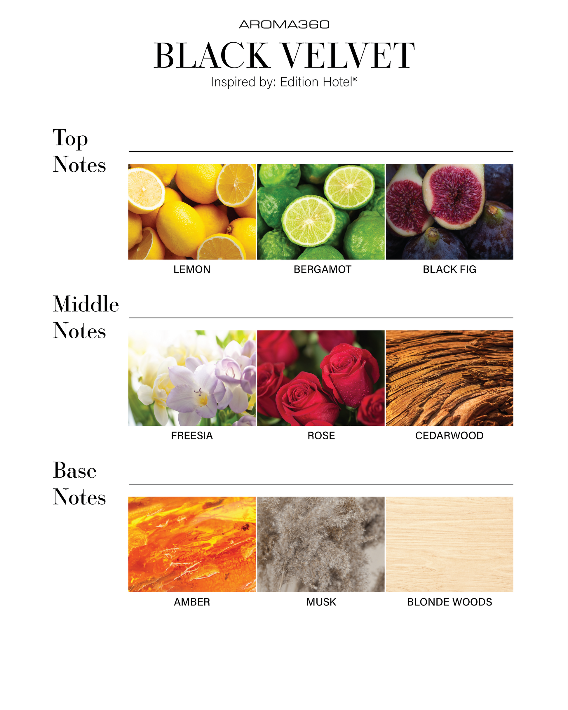 Trending Wellness Store