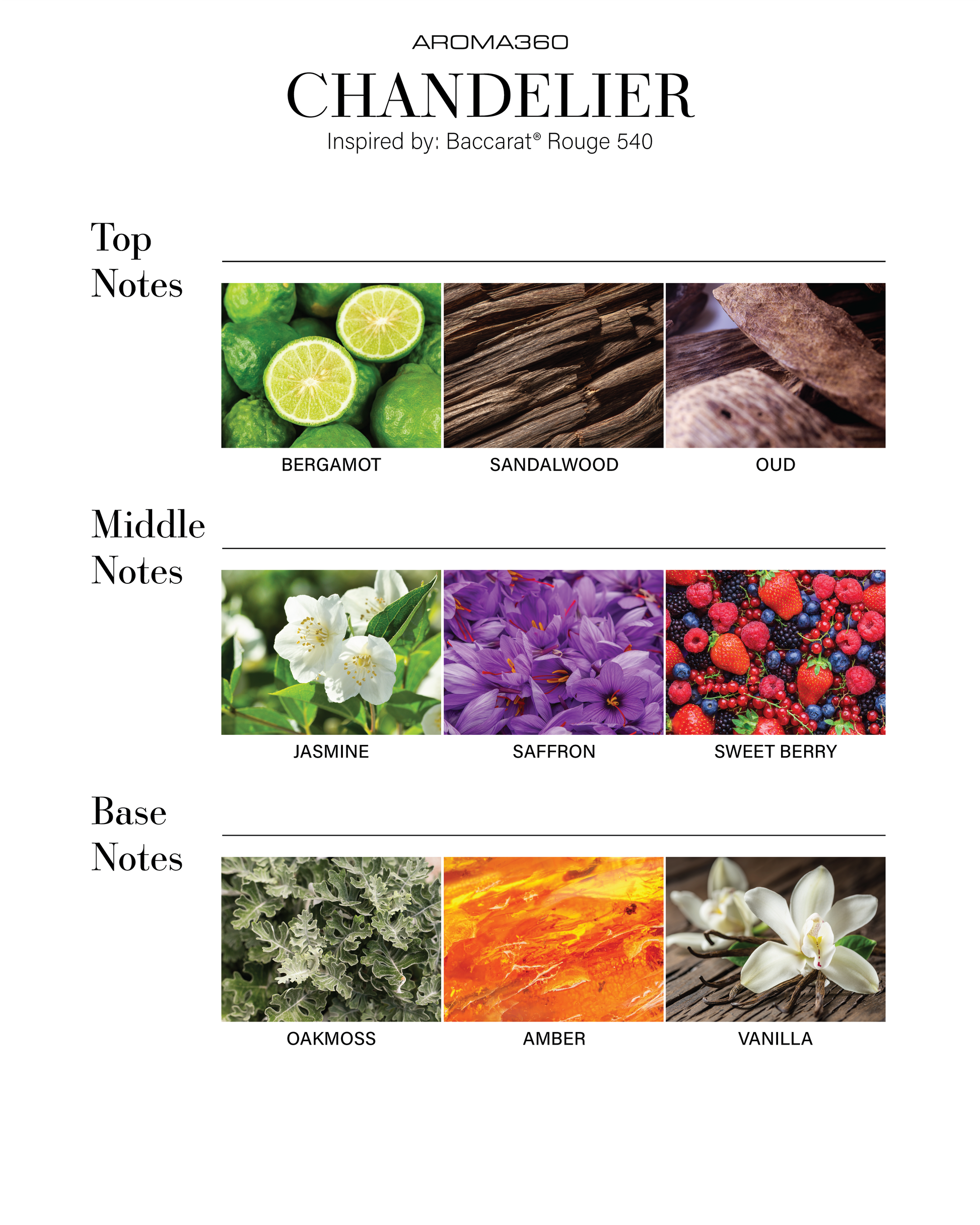 Trending Wellness Store