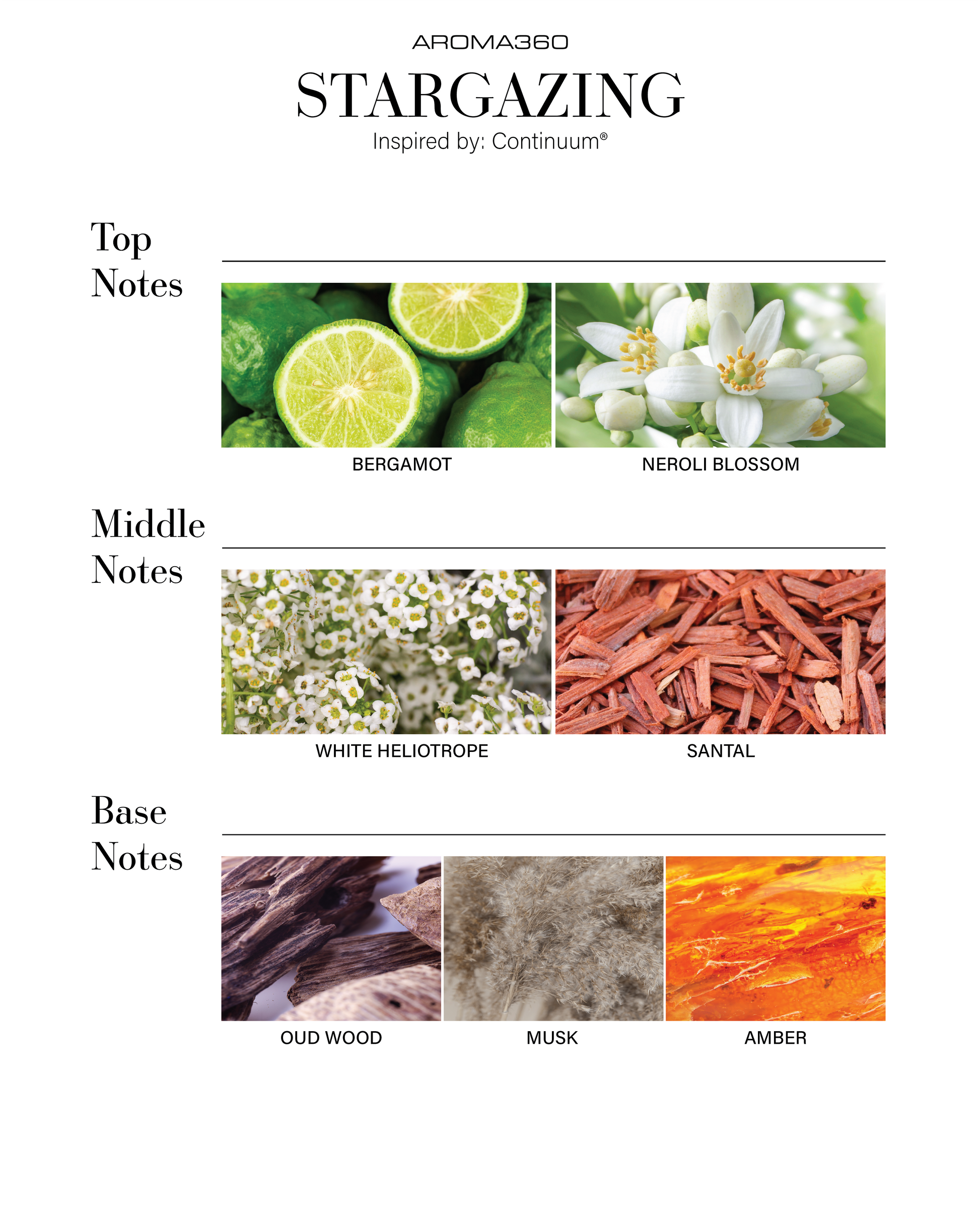 Trending Wellness Store